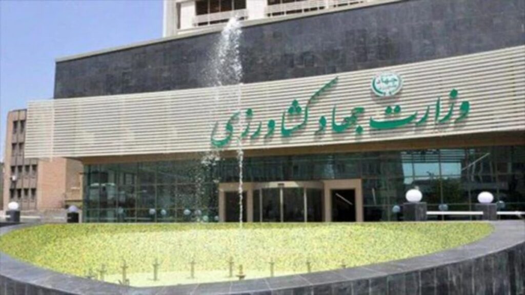 مراحل اخذ مجوز واردات موز