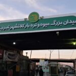 فروش عمده موز در تبریز