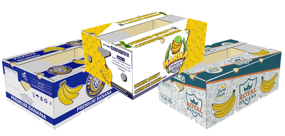 هاریکا فروت ، Harikafruit ، Adimaa ، Royal banana , Adimaa banana