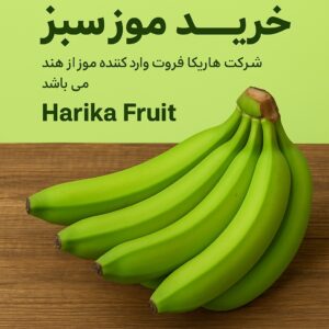 خرید موز سبز، واردات موز هند، موز سبز عمده، فروش موز در بندرعباس، تامین موز سبز برای تره‌بار، شرکت واردکننده موز، Harika Fruit، قیمت موز سبز امروز، موز خام برای سردخانه، موز سبز برای صادرات