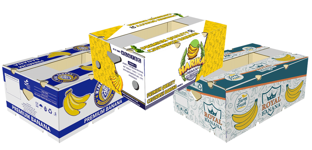 هاریکا فروت ، Harikafruit ، Adimaa ، Royal banana , Adimaa banana